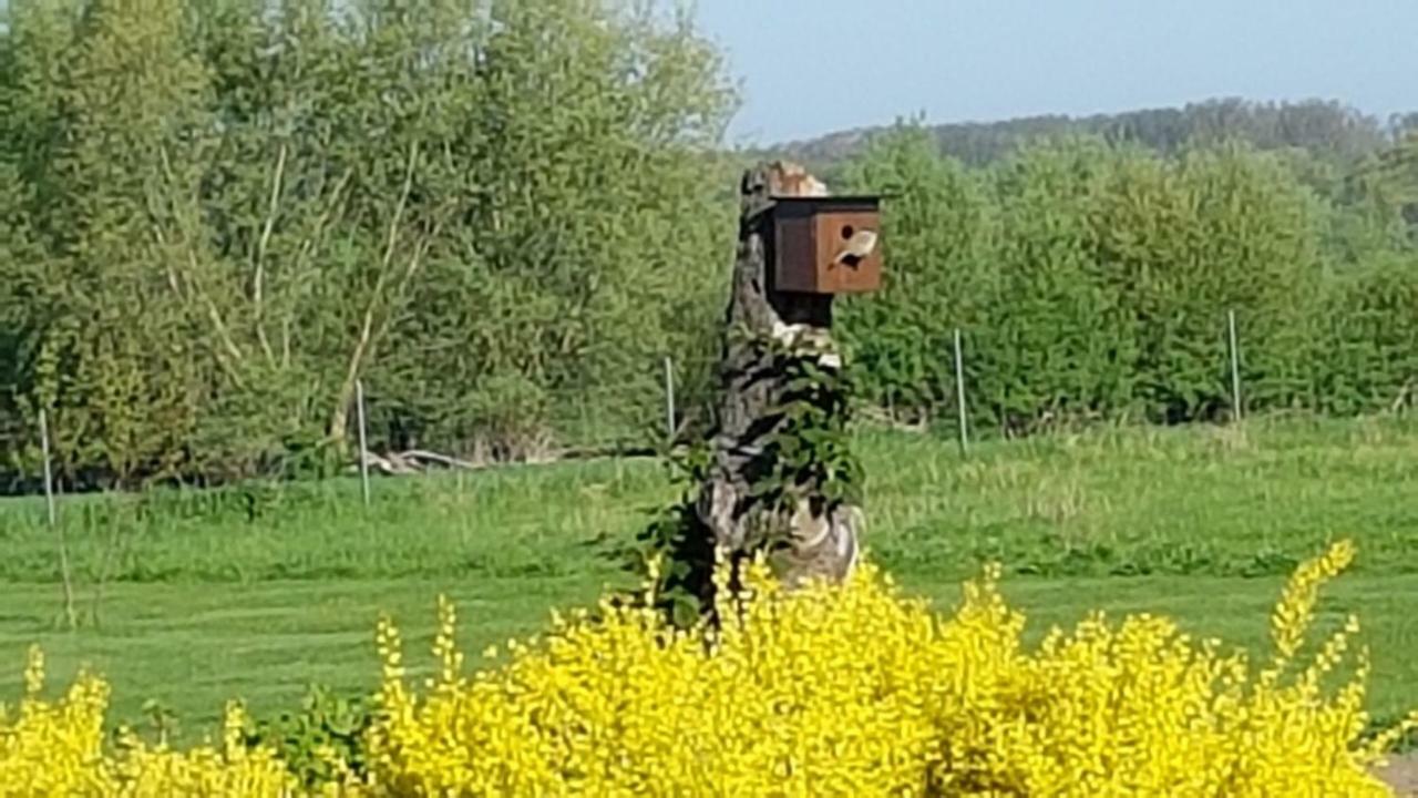 Ferienwohnung "Am Gruen" Zweedorf Экстерьер фото